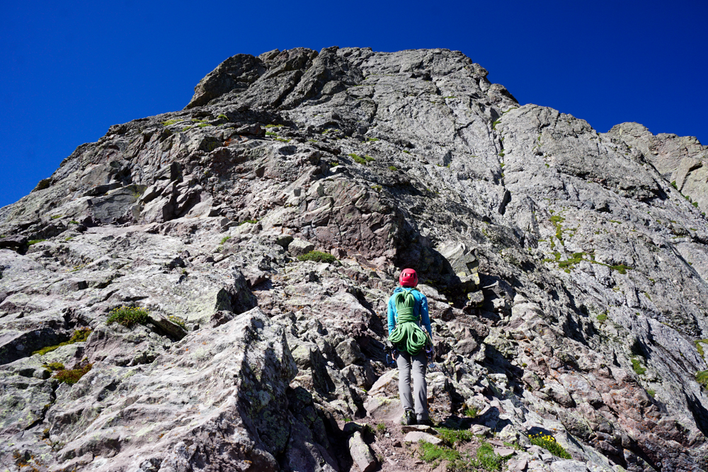 eleanor-davis-the-link