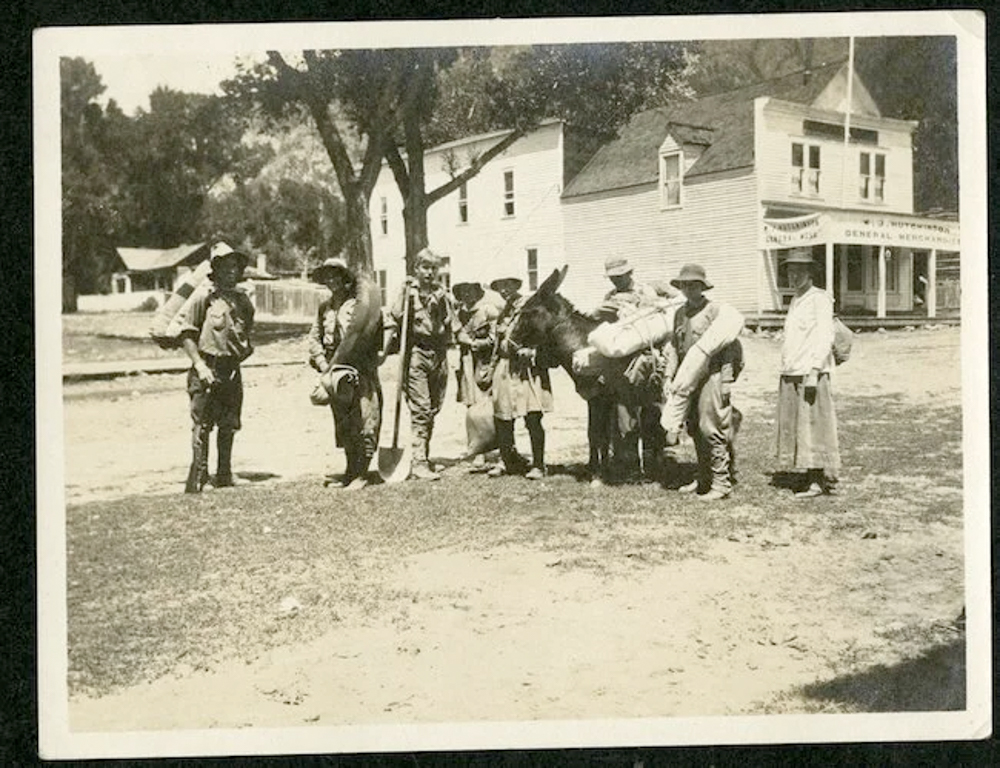 eleanor-davis-the-link