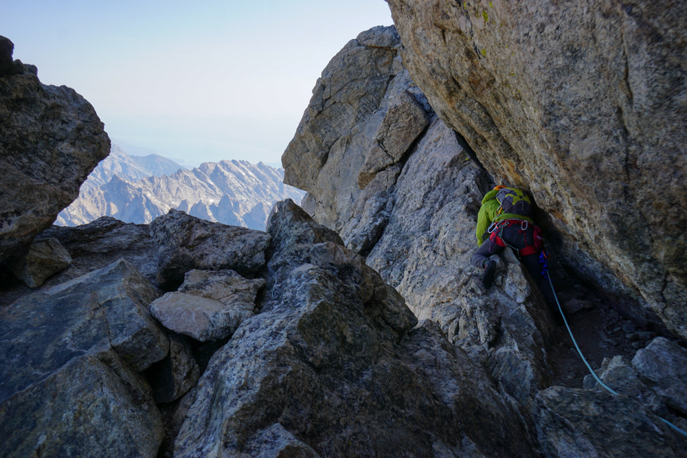 eleanor-davis-the-link