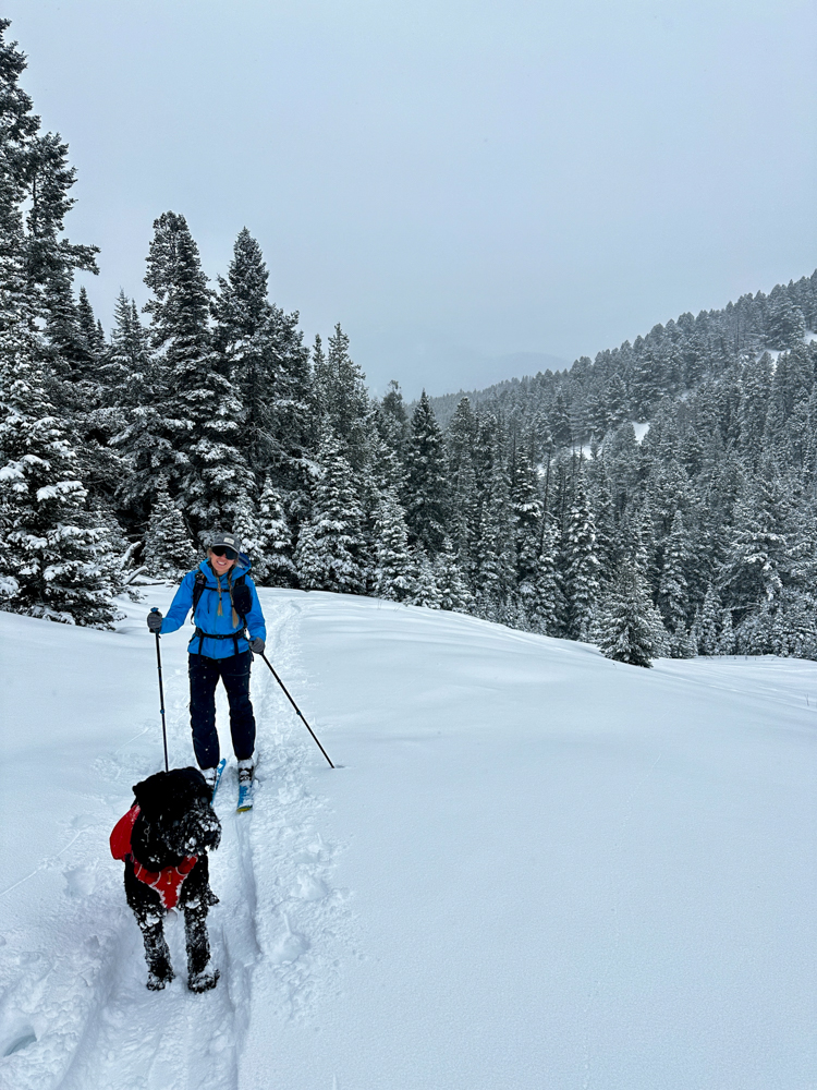 A Guide to Outdoor Adventures With Your Canine Companion The Link--3