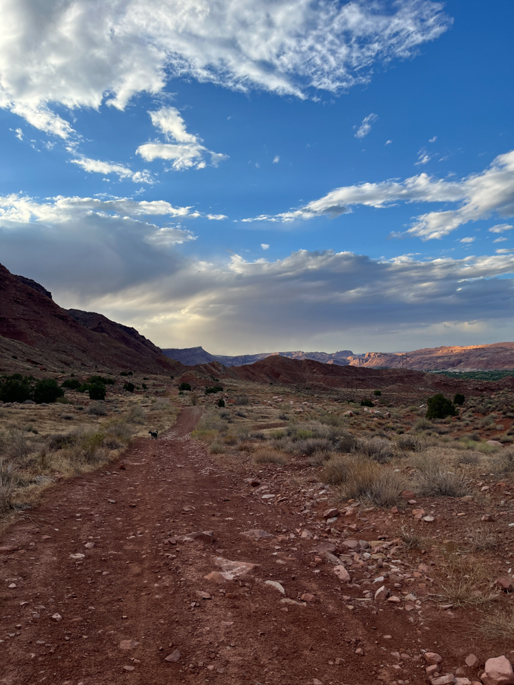 changing-moab-the-link