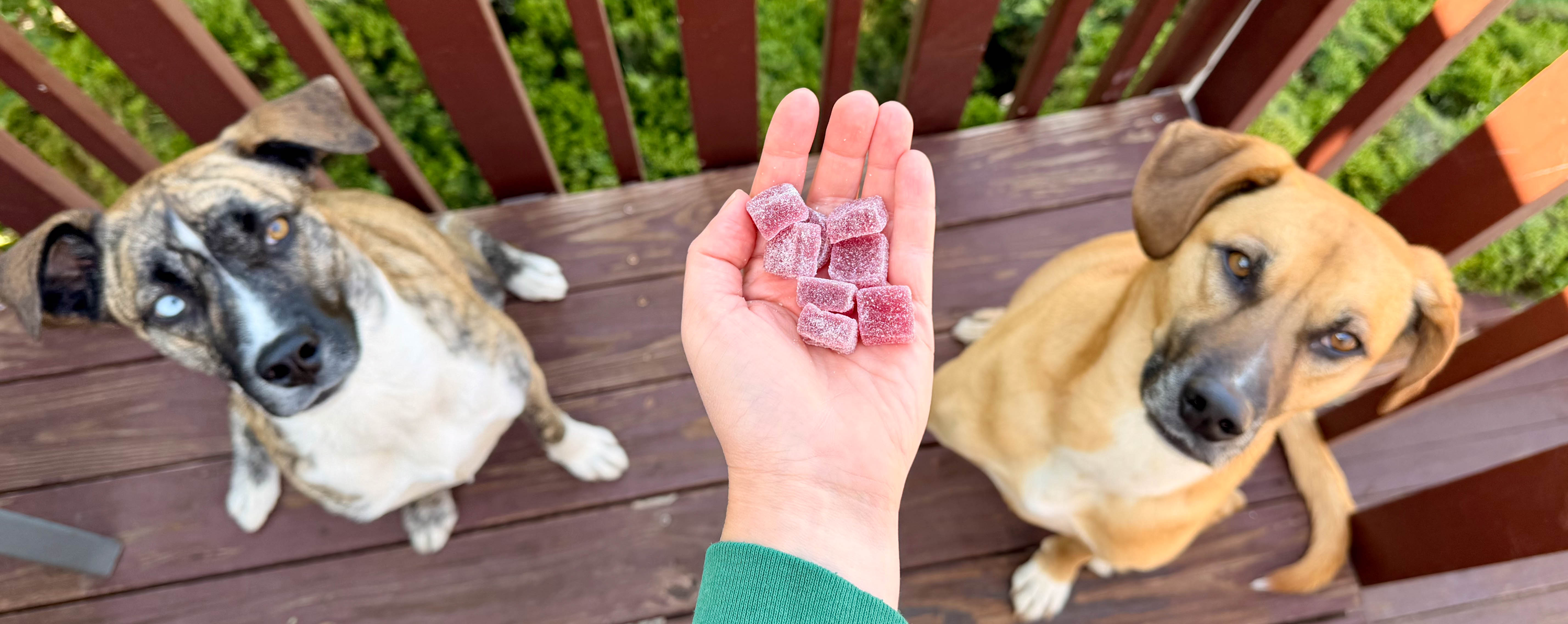 lost range. - CBD+CBN Sleep Gummies Review The Link