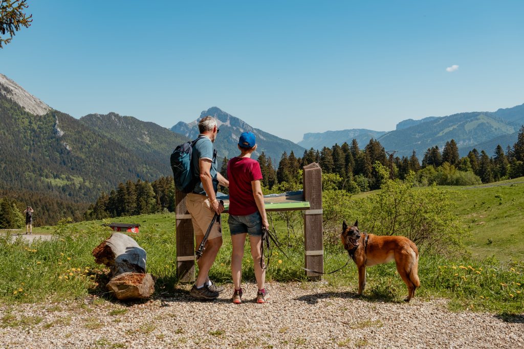 Outdoor Skills You (Probably) Already Have and can Add to Your Resume The Link