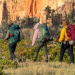 Outdoor Skills You (Probably) Already Have and can Add to Your Resume The Link