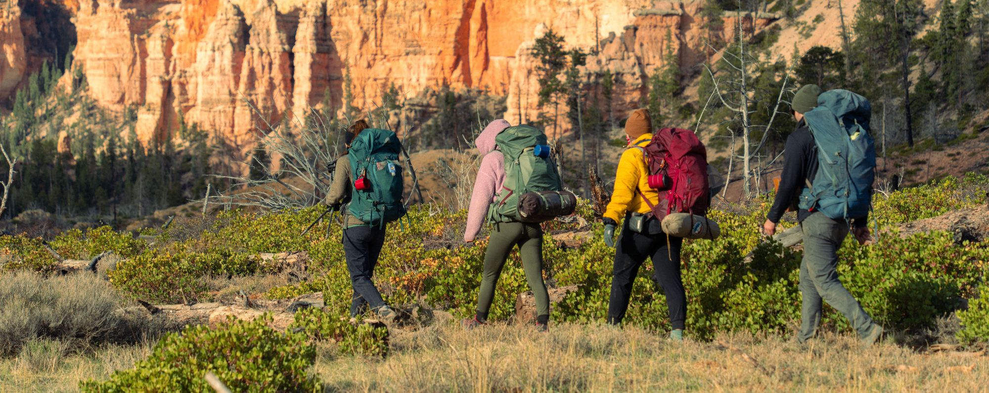 Outdoor Skills You (Probably) Already Have and can Add to Your Resume The Link