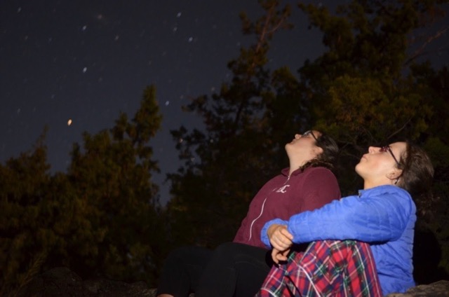 Perseid Meteor Shower Guide the link