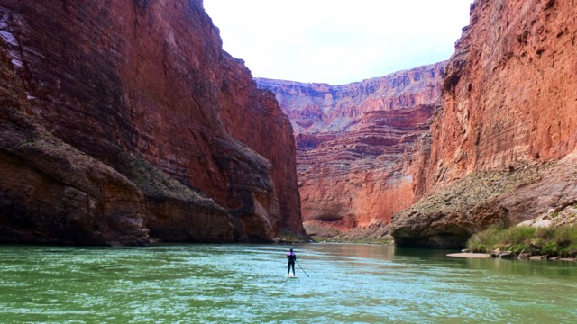 stand up paddle board the link