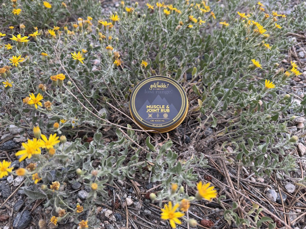 lost range gold buckle the link