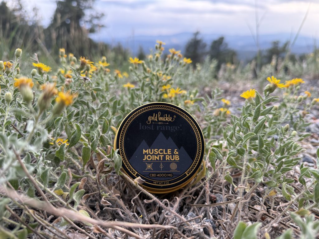 lost range gold buckle the link