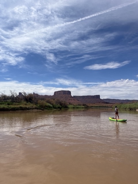 stand up paddle board the link