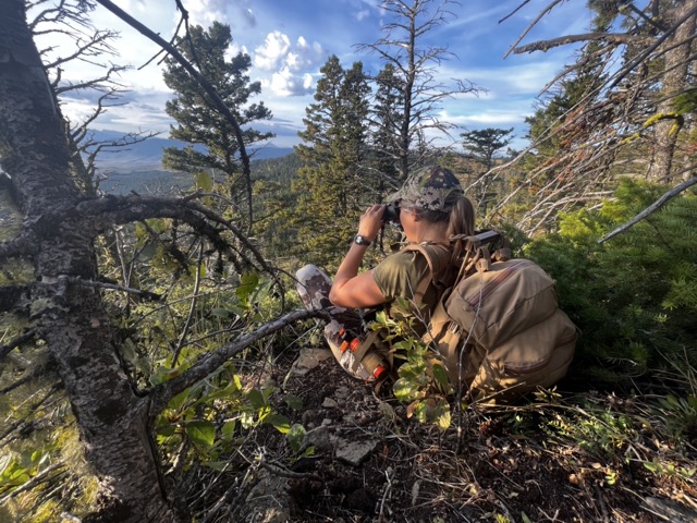 hunting optics 101 the link