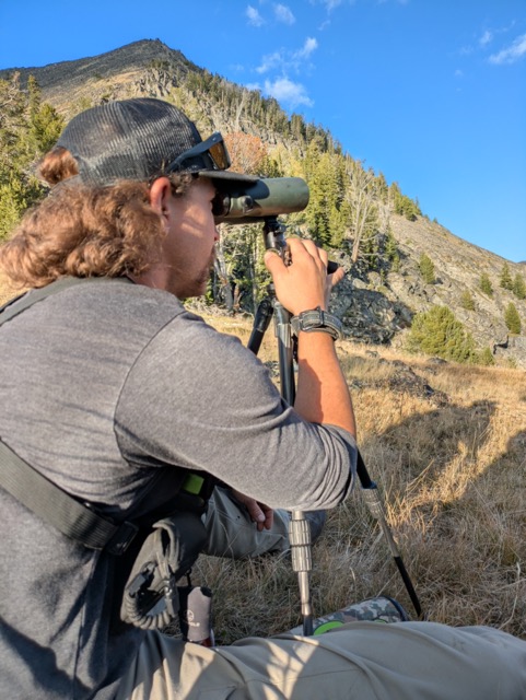 hunting optics 101 the link