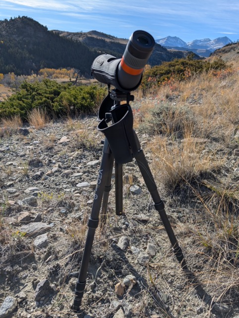 hunting optics 101 the link