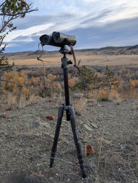 hunting optics 101 the link