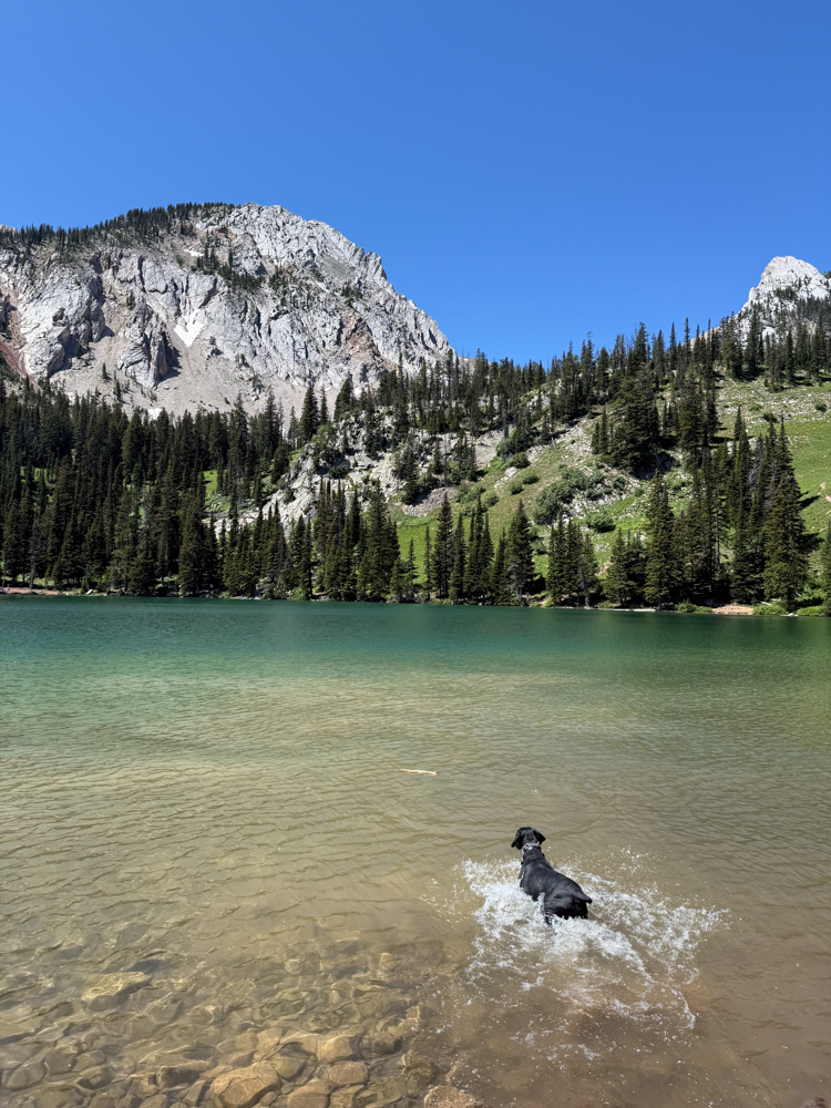Pregnancy Isn’t the End of Adventure The Link