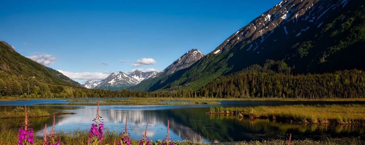 alaska landscape