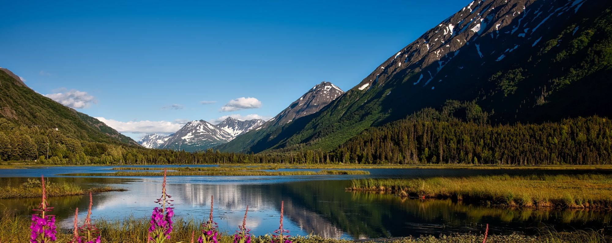 alaska landscape
