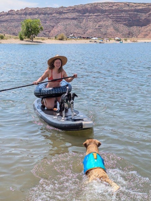stand up paddle board the link