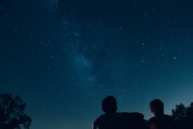 Perseid Meteor Shower Guide the link