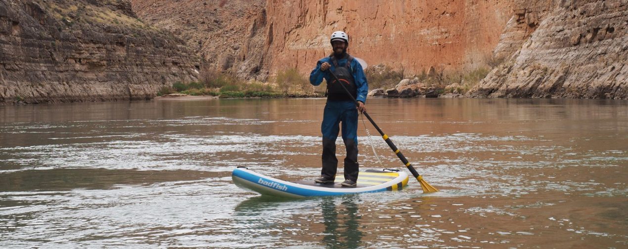 stand up paddle board the link