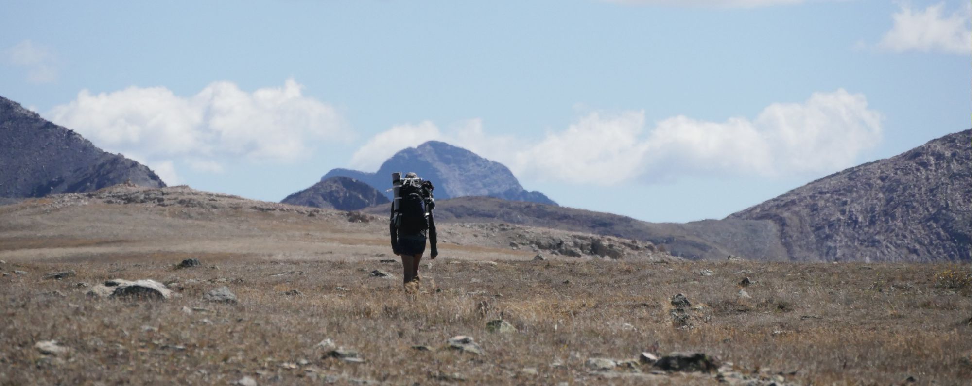 backpacking the link