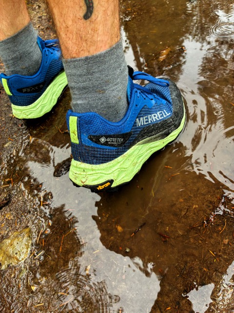 Merrell Agility Peak 6 GTX  the link