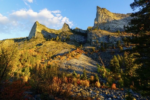 Plants of Fall The Science Behind The Colors The Link