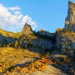 Plants of Fall: The Science Behind The Colors