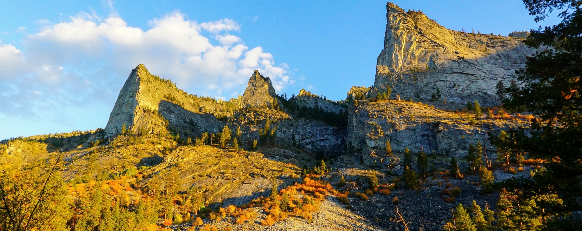 Plants of Fall: The Science Behind The Colors