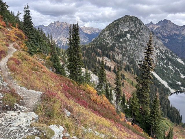 Plants of Fall The Science Behind The Colors The Link
