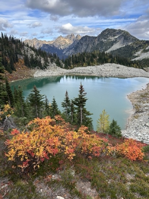 Plants of Fall The Science Behind The Colors The Link