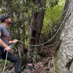 Edelrid Pinch Review The Link