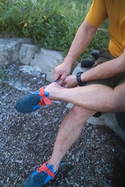 Red Chili Voltage X Review The Link