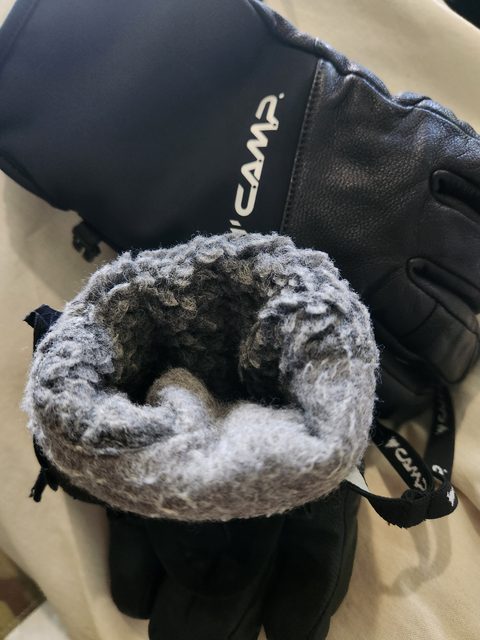 C.A.M.P. G Crest Gloves Review The Link
