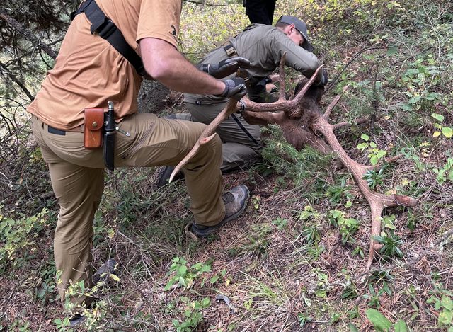 Building Your Kill Kit The Link