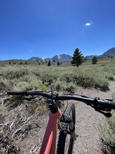 Best Mountain Bike Rides in Mammoth The Link