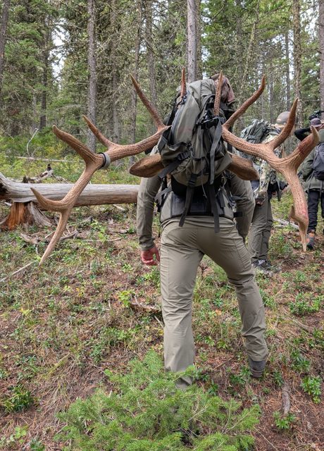 Building Your Kill Kit The Link